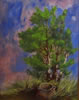 Jackson Hensley Gallery: Image